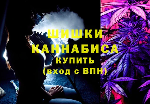 спиды Магас